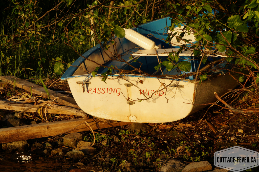 sailboat lake 