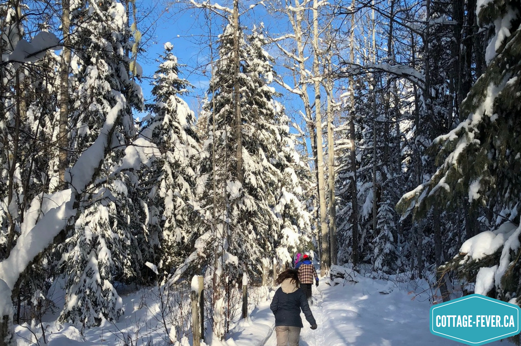 snowshoeing