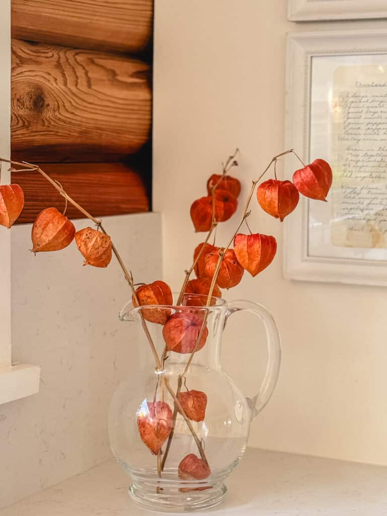 Dried Chinese Lantern Stems